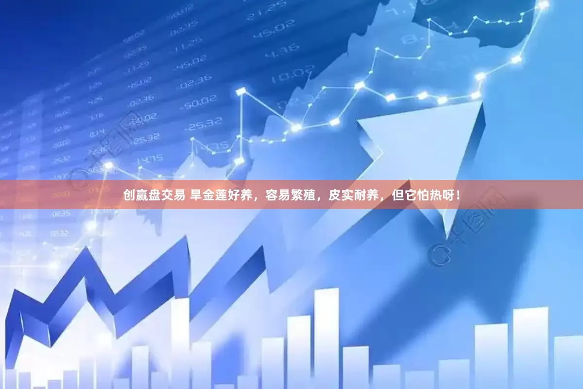 创赢盘交易 旱金莲好养，容易繁殖，皮实耐养，但它怕热呀！