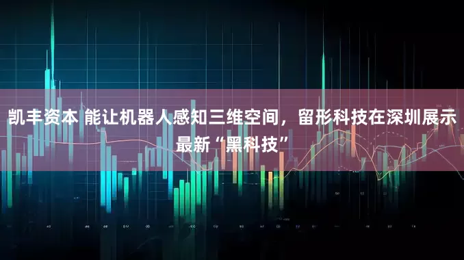 凯丰资本 能让机器人感知三维空间，留形科技在深圳展示最新“黑科技”