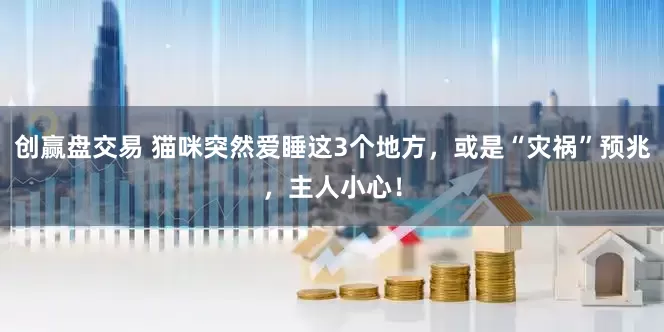 创赢盘交易 猫咪突然爱睡这3个地方，或是“灾祸”预兆，主人小心！