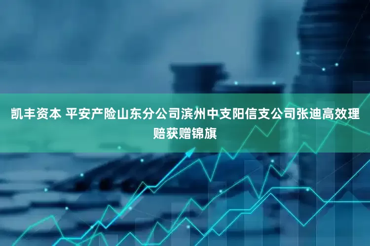 凯丰资本 平安产险山东分公司滨州中支阳信支公司张迪高效理赔获赠锦旗
